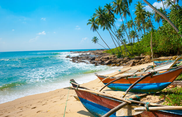 Zu den Ländertipps für Sri Lanka