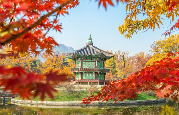 Zu den Ländertipps für Südkorea