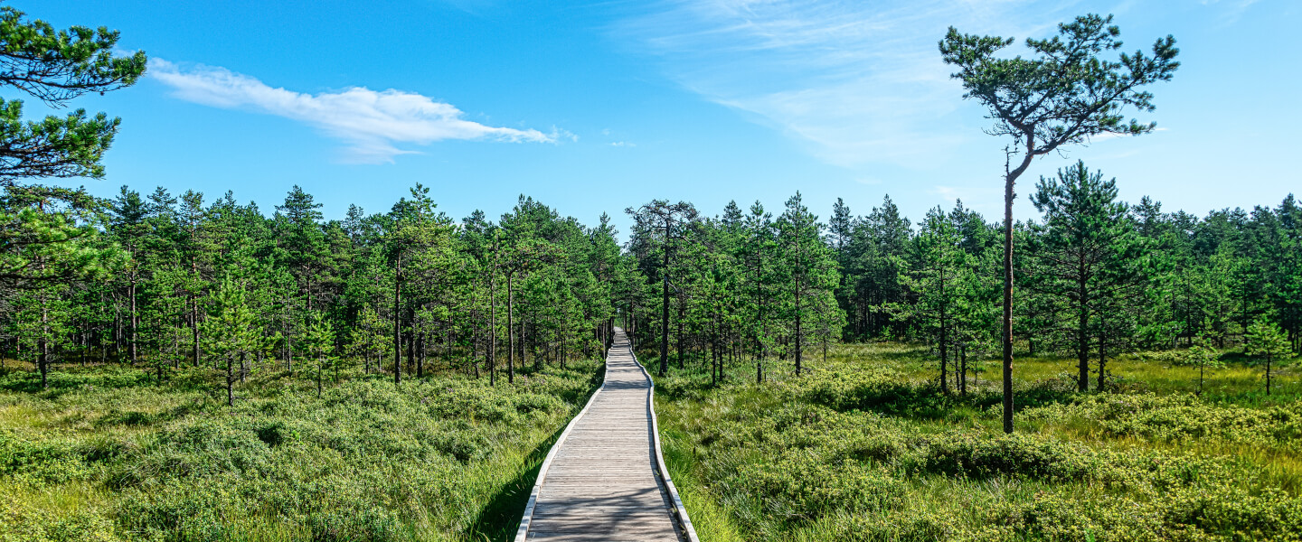Estland
