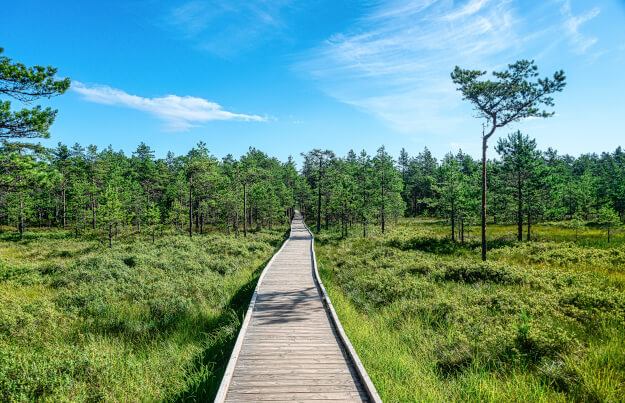 Der Nationalpark Lahemaa in Estland | Gebeco Zu den Ländertipps für Estland