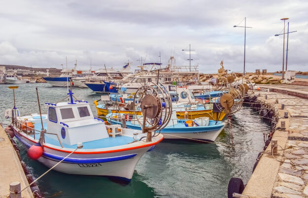 Blick auf den Hafen von Ayia Napa in Zypern | Gebeco