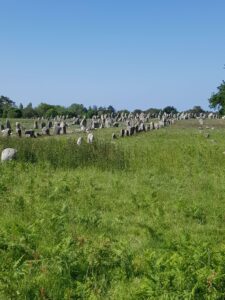 Alignement von Ménec in Carnac in der Bretagne, Frankreich I Gebeco