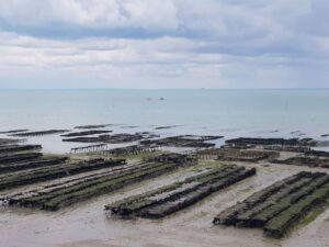 Austernbänke an der Küste von Cancale, Frankreich I Gebeco