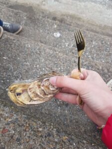 in der Hand eine Auster haltend am Hafen von Cancale, Frankreich I Gebeco