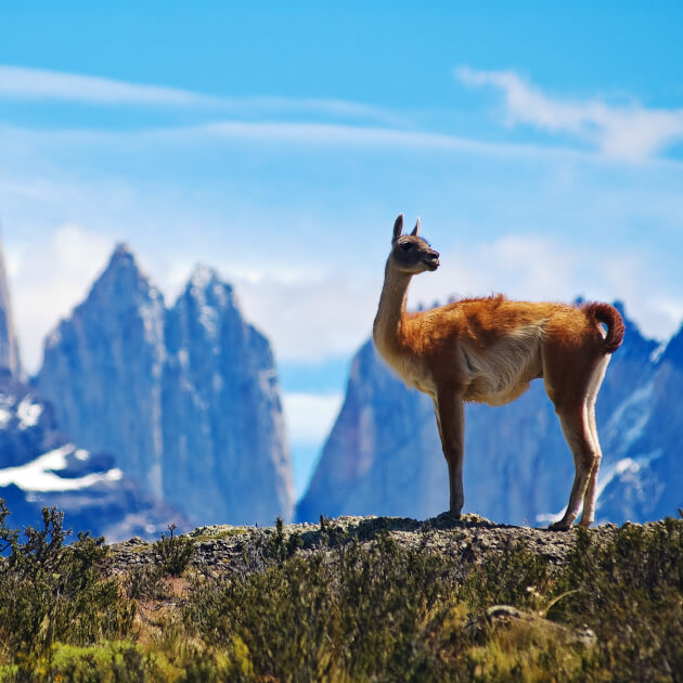 Torres del Paine in Chile