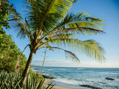 Strand von Tamarindo auf Costa Rica | Gebeco