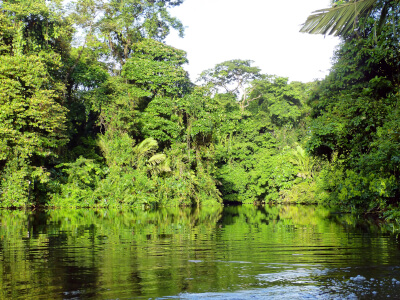 Nationalpark Tortugueroauf Costa Rica | Gebeco