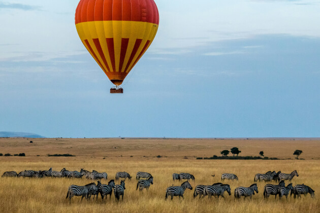 Heißluftballon schwebt über Zebras in der Savanne der Masai Mara bei Sonnenaufgang. | Gebeco 