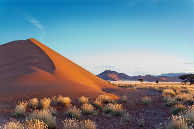 Hohe Sanddünen in der Wüstenlandschaft von Sossusvlei, Namibia. | Gebeco