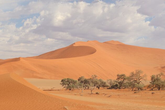 Namib-Wüste mit hohen orangefarbenen Sanddünen. | Gebeco