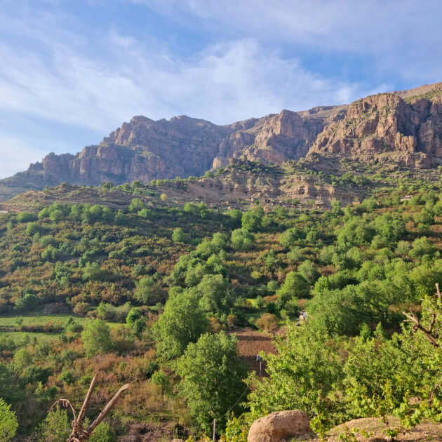 Zu den Informationen über das Jebel-Akhbar-Gebirge