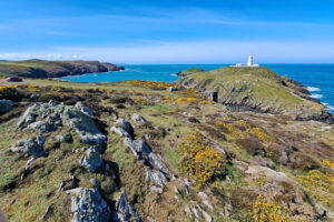 Küstenwanderwegs Wales Coast Path im Pembrokeshire Coast Nationalpark in Wales | Gebeco