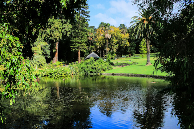Idyllischer Teich im Royal Botanic Gardens Melbourne, umgeben von tropischer Vegetation und Palmen. | Gebeco