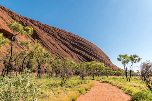 Wanderweg am Uluru im australischen Outback bei klarem Himmel, Ayers Rock mit roter Sandsteinformation. | Gebeco