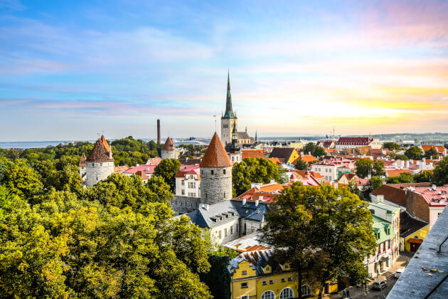 Panoramablick auf die mittelalterliche Altstadt von Tallinn mit Türmen und Kirchturm im Abendlicht. | Gebeco