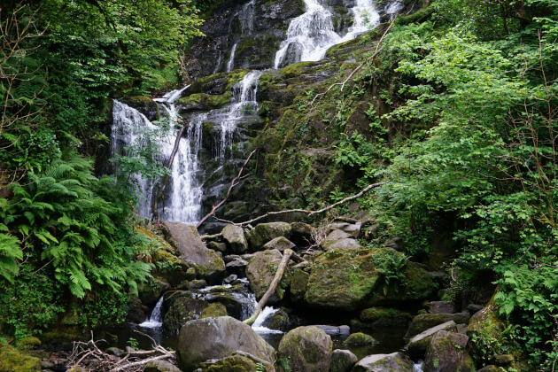 Torc-Wasserfall im Killarney-Nationalpark mit moosbedeckten Felsen und dichtem Wald. | Gebeco