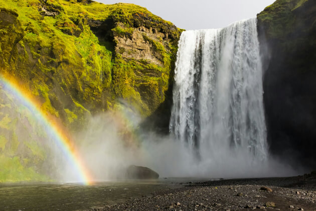 Skógafoss Wasserfall in Island mit Regenbogen vor grün bewachsener Steilwand im Sonnenlicht. | Gebeco