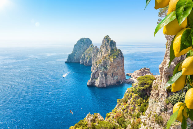 Faraglioni-Felsen vor der Küste von Capri mit tiefblauem Meer und Zitronen im Vordergrund. | Gebeco