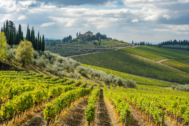 Toskanische Hügellandschaft mit Weinbergen und Zypressen in der Chianti-Region. | Gebeco