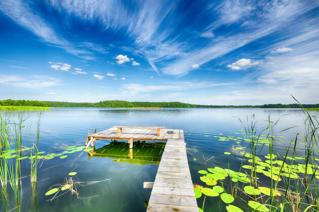 Holzsteg am ruhigen See in den Masuren bei blauem Himmel und Seerosen. | Gebeco