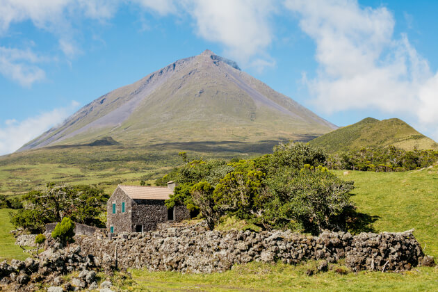 Steinhaus vor dem Pico-Vulkan auf der Azoreninsel Pico bei strahlendem Himmel und grüner Landschaft. | Gebeco