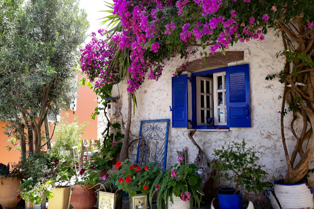 Romantischer Hinterhof in Faro mit üppigen Bougainvillea-Blüten, traditionellen Keramiktöpfen und blauen Fensterläden an einem weiß getünchten Haus. | Gebeco