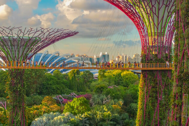 Skywalk zwischen den beleuchteten Supertrees in den Gardens by the Bay, Singapur – futuristischer Park mit tropischer Vegetation und moderner Architektur. | Gebeco