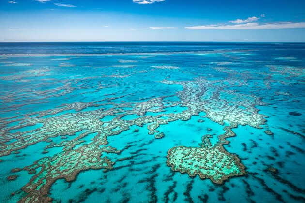 Luftaufnahme des Great Barrier Reefs mit türkisblauem Wasser und Korallenformationen in Queensland, Australien. | Gebeco