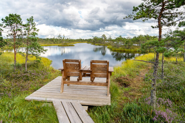 Holzbank mit Blick auf einen idyllischen Moorsee im Kemeri Nationalpark in Lettland. | Gebeco