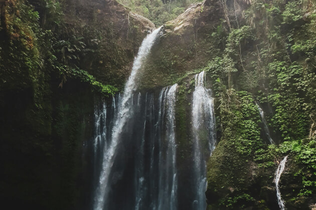 Hoher Wasserfall inmitten üppiger Dschungelvegetation auf Lombok, Indonesien. | Gebeco