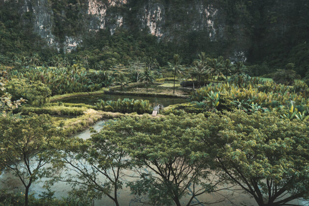 Dichte tropische Vegetation und Wasserläufe in der Karstlandschaft von Rammang-Rammang, Indonesien. | Gebeco