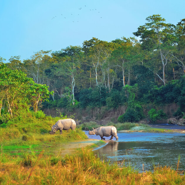 Zu den Informationen über den Chitwan Nationalpark