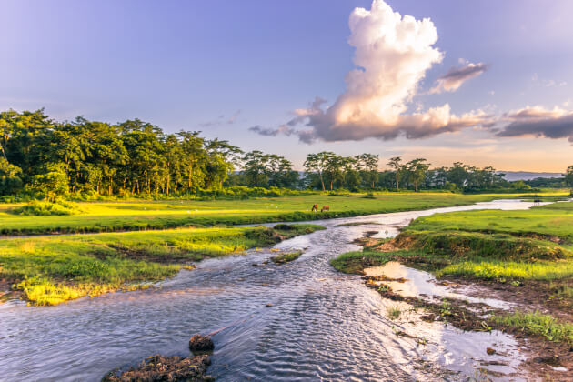Flusslauf durch die grüne Landschaft im Chitwan-Nationalpark bei Sonnenuntergang. | Gebeco