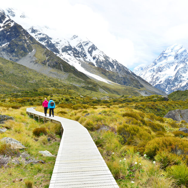 Zu den Informationen über Mount Cook