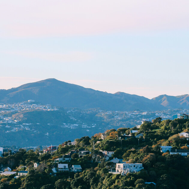 Zu den Informationen über Wellington