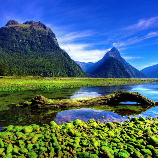 Zu den Informationen über Milford Sound