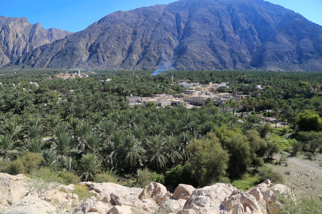 Jebel Akhdar Gebirge mit Palmen und versteckten Häusern. | Gebeco