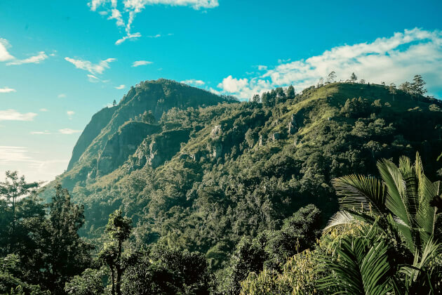 Blick auf die üppig bewaldete Ella Rock in Sri Lanka unter blauem Himmel. | Gebeco