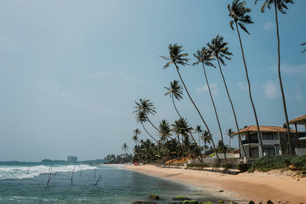 Strand von Unawatuna in Sri Lanka mit hohen Palmen, ruhiger Brandung und traditionellen Fischfang-Stelzen im Wasser. | Gebeco