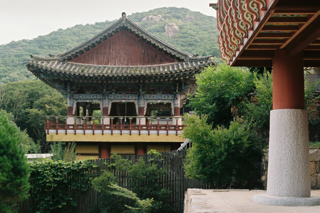 Traditionelles Tempelgebäude im Donghwasa-Tempel nahe Daegu, Südkorea, eingebettet in grüne Natur. | Gebeco