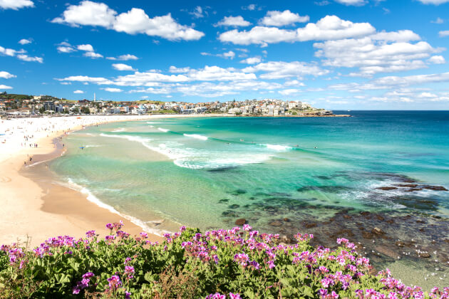 Bondi Beach in Sydney bei Sonnenschein mit türkisfarbenem Wasser, Wellen und Badenden an der Küste Australiens. | Gebeco