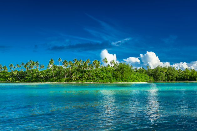 Küstenlinie von Rarotonga auf den Cookinseln mit dichtem Palmenbewuchs und türkisfarbenem Wasser unter blauem Himmel