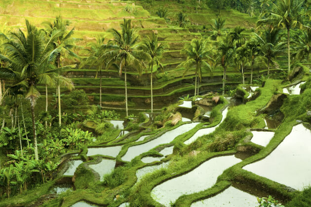 Zu den Informationen über Bali
