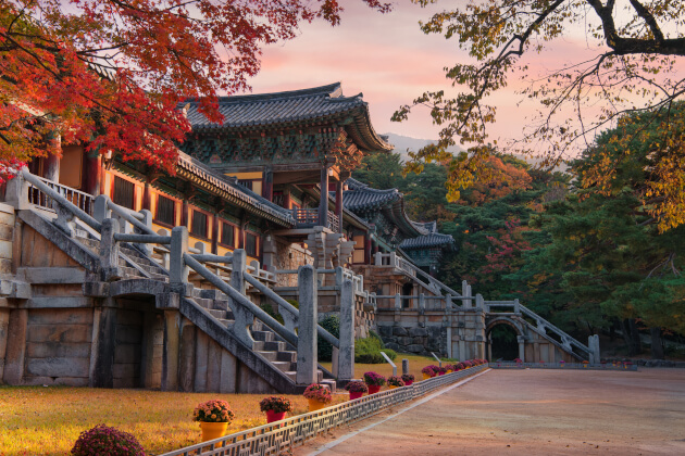 Bulguksa Tempel bei Sonnenuntergang im Herbst mit rotem Ahornlaub in Gyeongju, Südkorea. | Gebeco