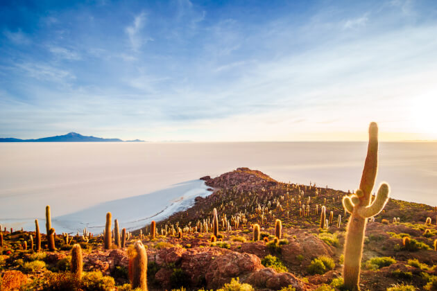 Kaktusbewachsene Isla Incahuasi in der weißen Salzwüste Salar de Uyuni bei Sonnenaufgang in Bolivien. | Gebeco