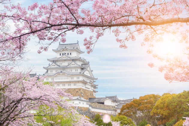 Zu den Informationen über Osaka