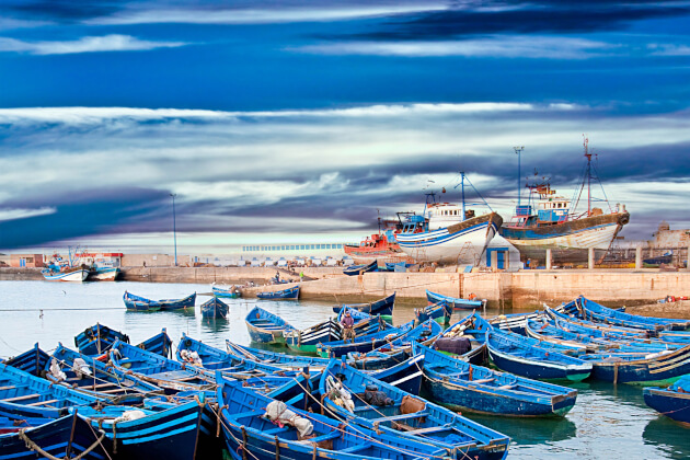 Hafen von Essaouira mit historischen Gebäuden und Blick auf das offene Meer. | Gebeco