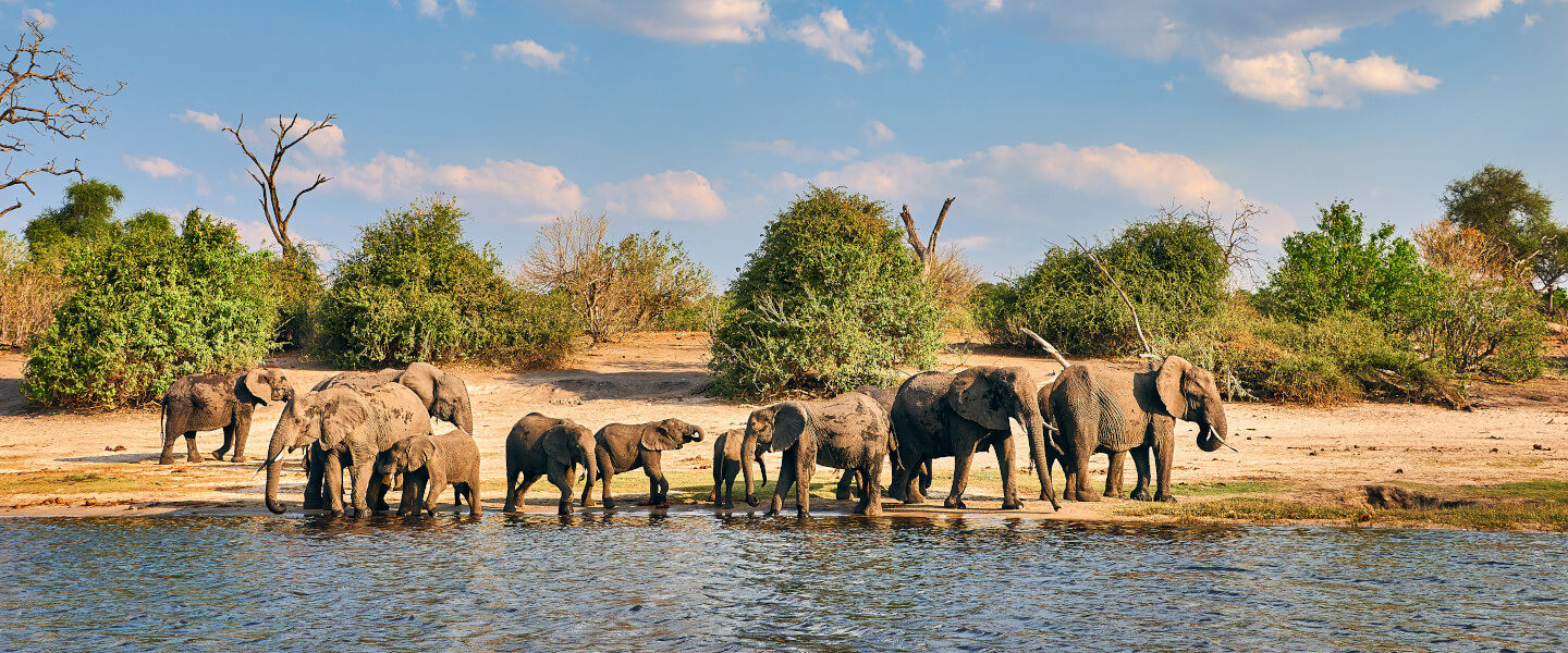 Ländertipps für ihre Rundreise durch Botswana