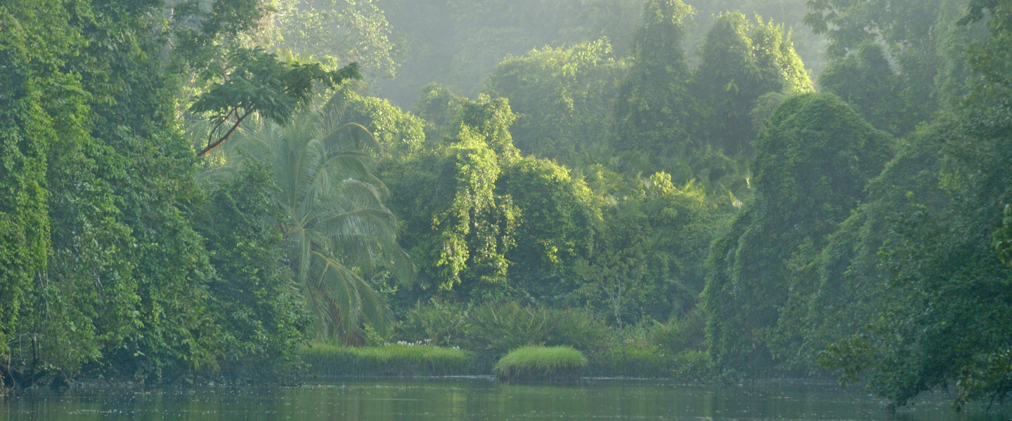 Corcovado Nationalpark