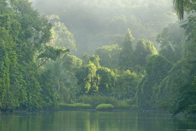 Zu den Informationen über Corcovado-Nationalpark